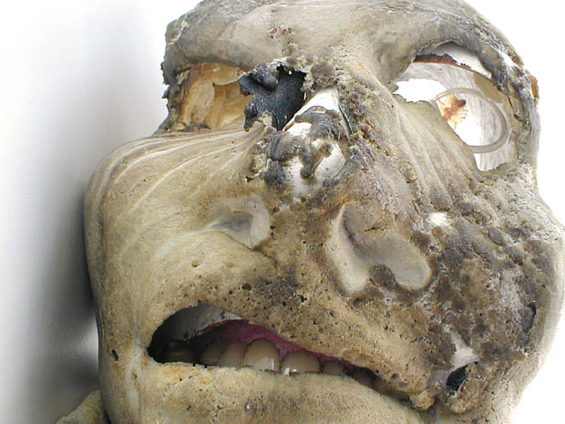 sauro5
